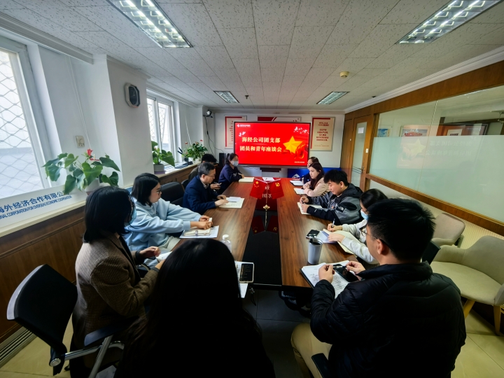 海经公司团支部召开“冲刺四季度 团青当先锋”座谈会